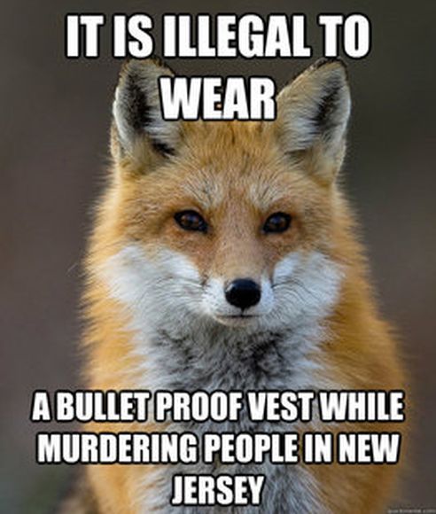 Fun Fact Fox Meme (60 pics)
