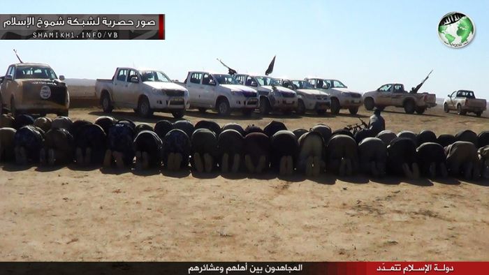Jihadists of Iraq (41 pics)
