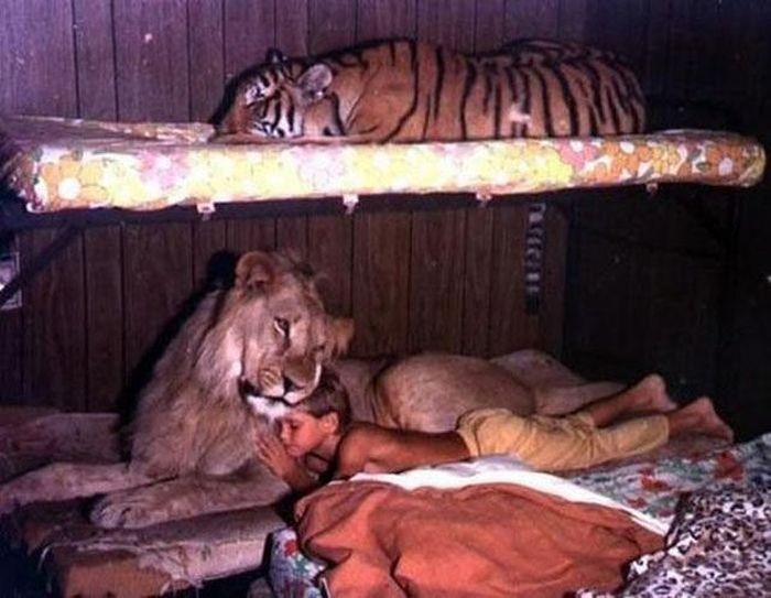 Awesome Photos. Part 24 (50 pics)