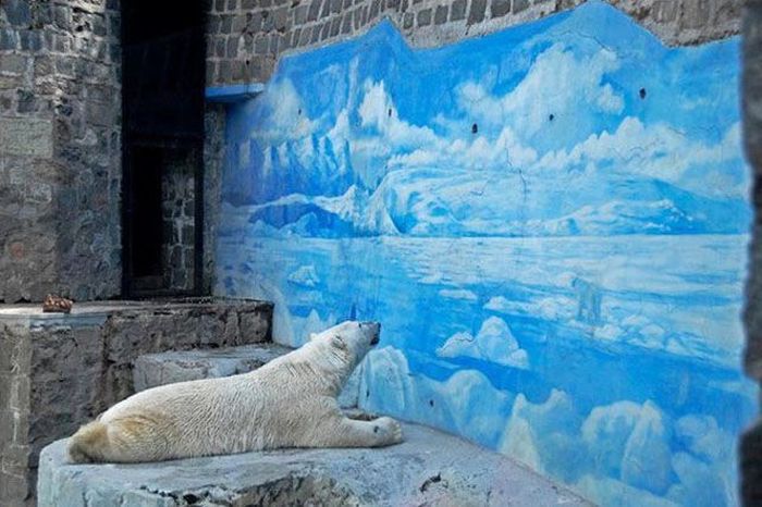Awesome Photos. Part 24 (50 pics)