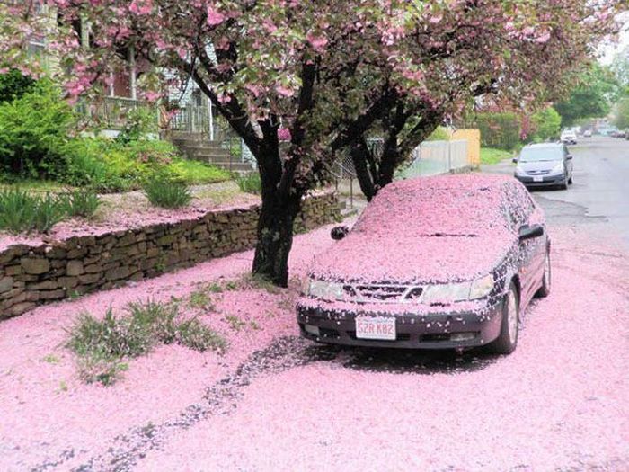 Awesome Photos. Part 24 (50 pics)