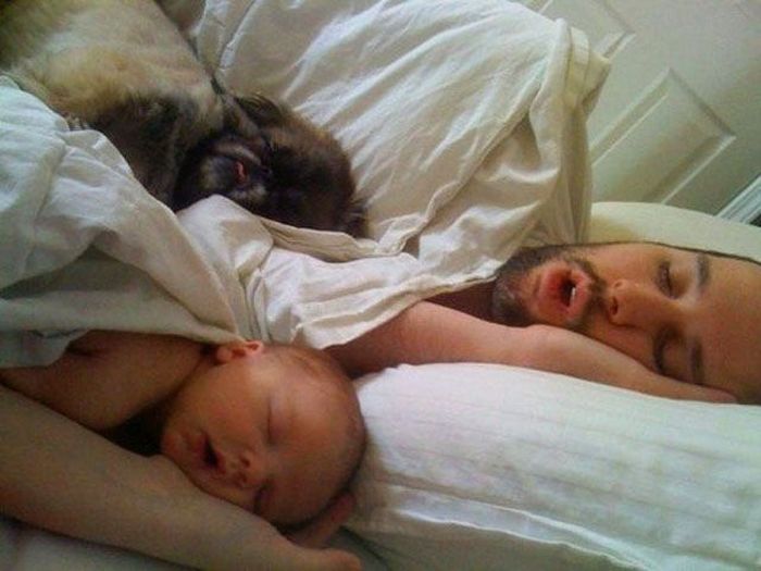 Awesome Photos. Part 24 (50 pics)