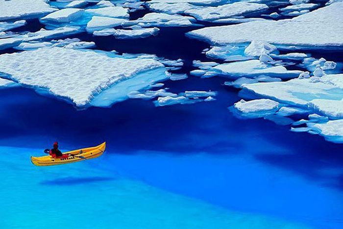 Awesome Photos. Part 24 (50 pics)