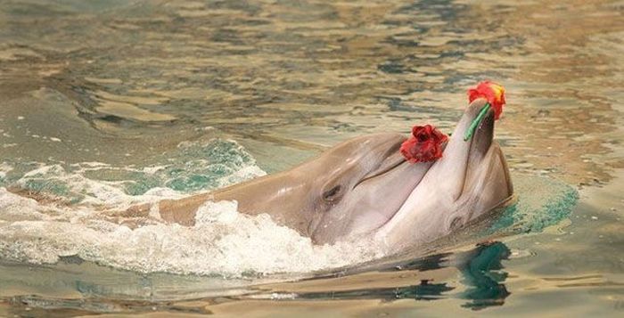 Awesome Photos. Part 24 (50 pics)