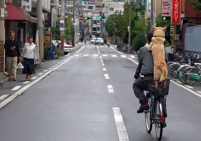 Awesome Photos. Part 24 (50 pics)