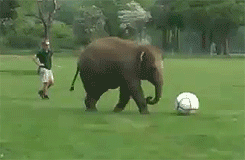 Did It Ever Happen to You When... Part 38 (17 gifs)