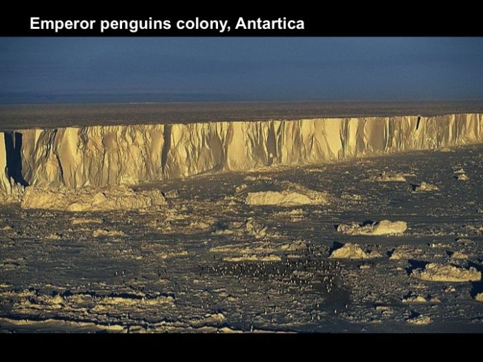 Amazing Pictures of Earth (44 pics)