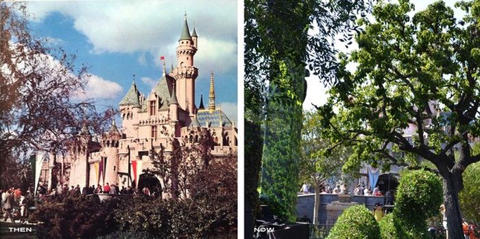 Disneyland Then and Now (145 pics)