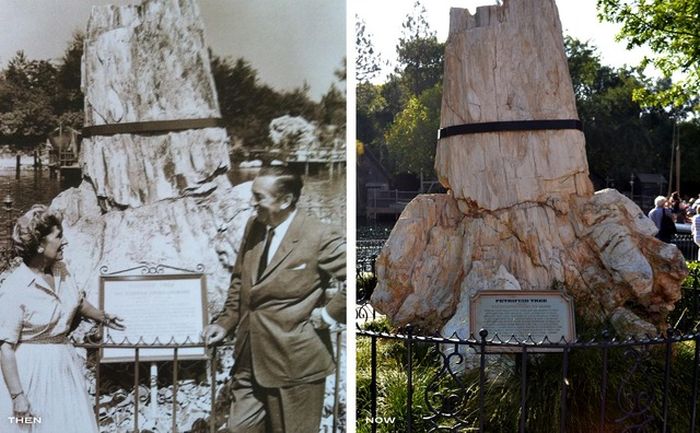 Disneyland Then and Now (145 pics)