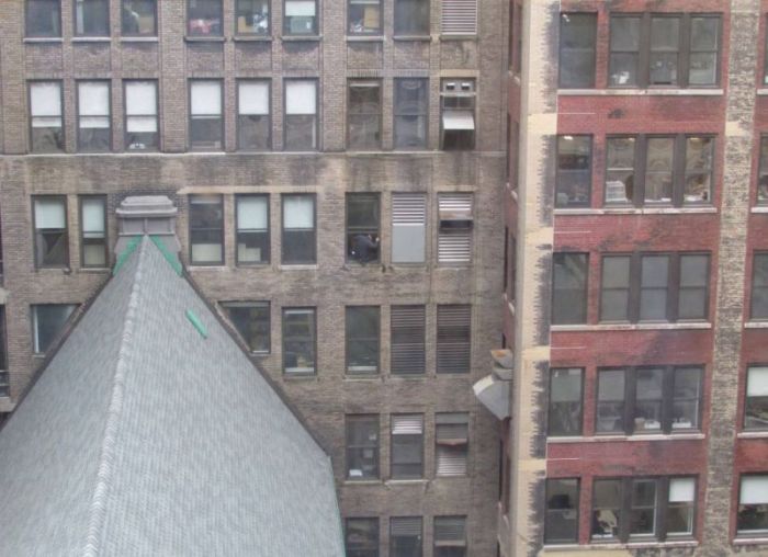 Window Cleaner in Manhattan (6 pics + video)