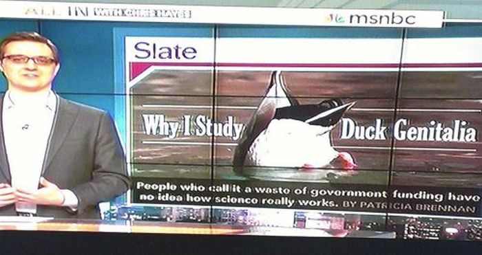 Weird Local News Captions. Part 3 (29 pics)