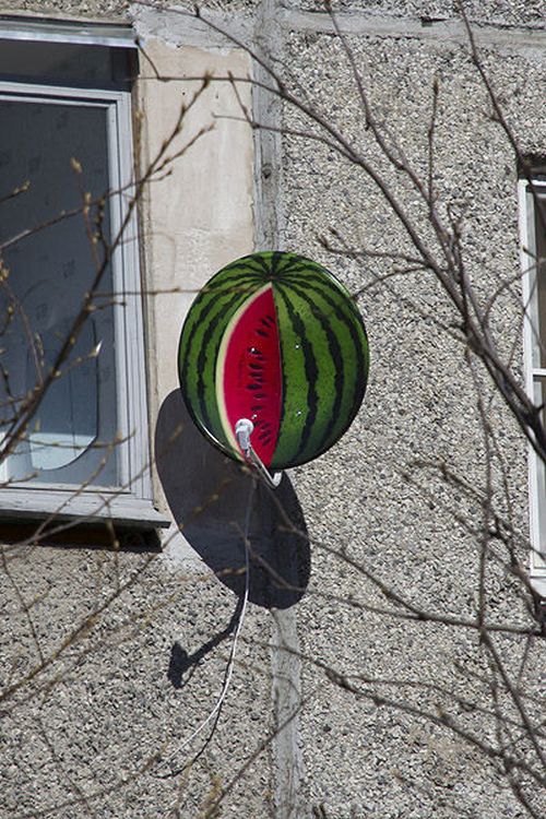 How to Turn a Satellite Dish into a Watermelon (7 pics)