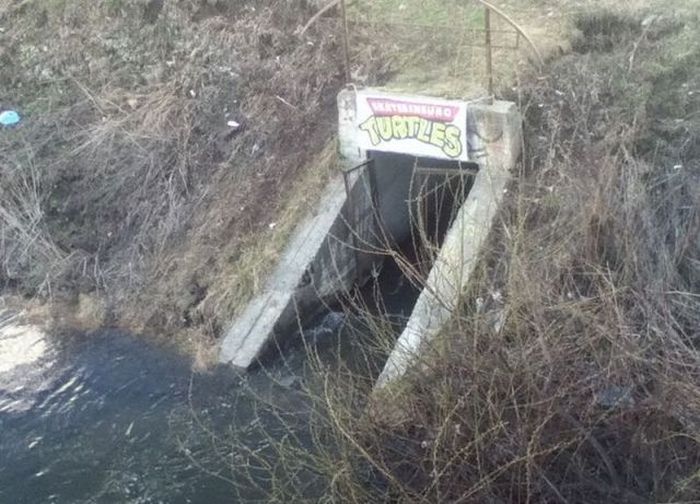 Acid Picdump (112 pics)