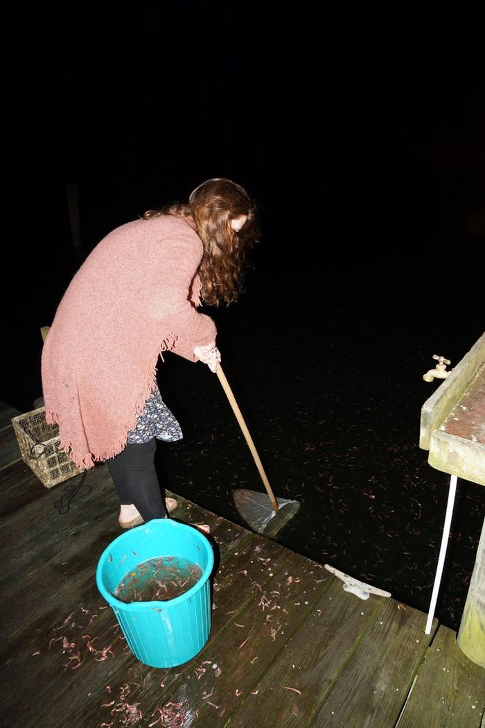 Earthworm Attack (4 pics)