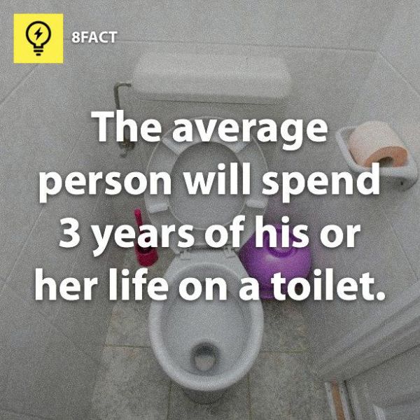 Totally Useless Facts (25 pics)