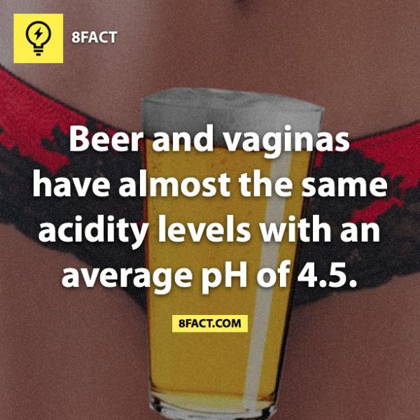 Totally Useless Facts 25 Pics 