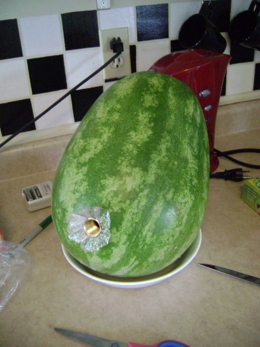 How to Make a Watermelon Keg (15 pics)