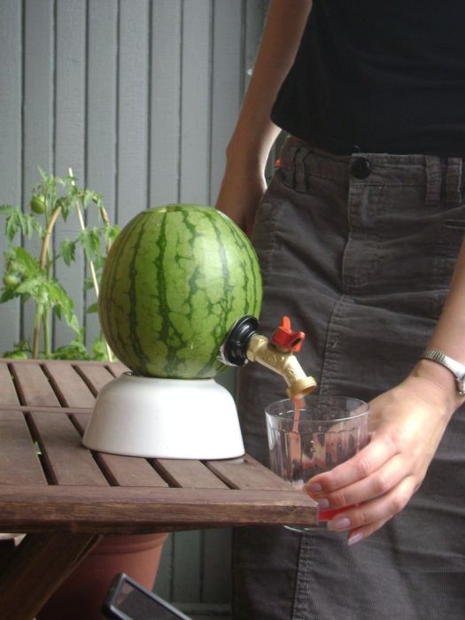 How to Make a Watermelon Keg (15 pics)