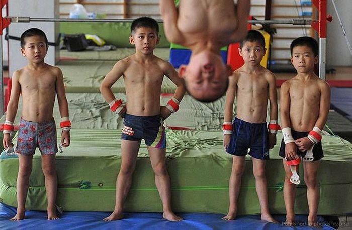 Photobombs. Part 30 (40 pics)