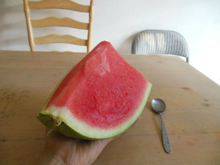 Watermelon Cup (4 pics)