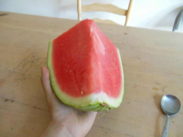 Watermelon Cup (4 pics)