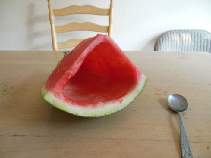 Watermelon Cup (4 pics)