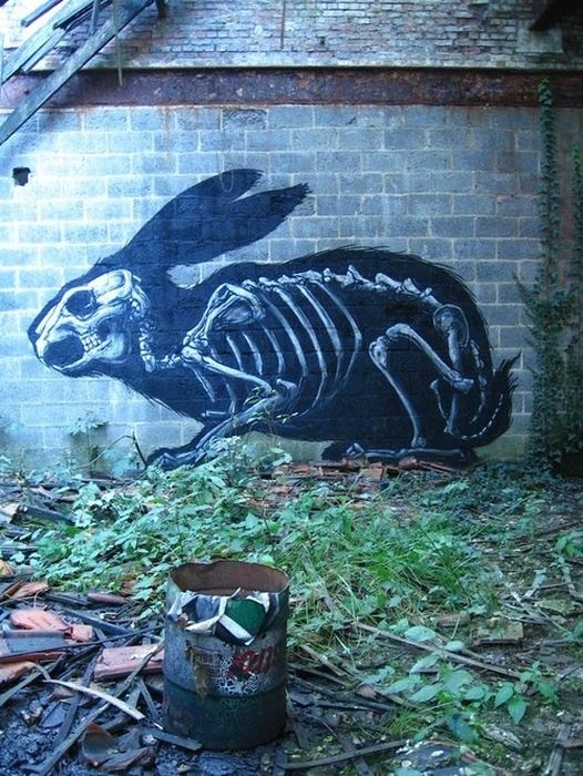 Street Art From Around the World (50 pics)