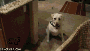 Did It Ever Happen to You When... Part 40 (17 gifs)