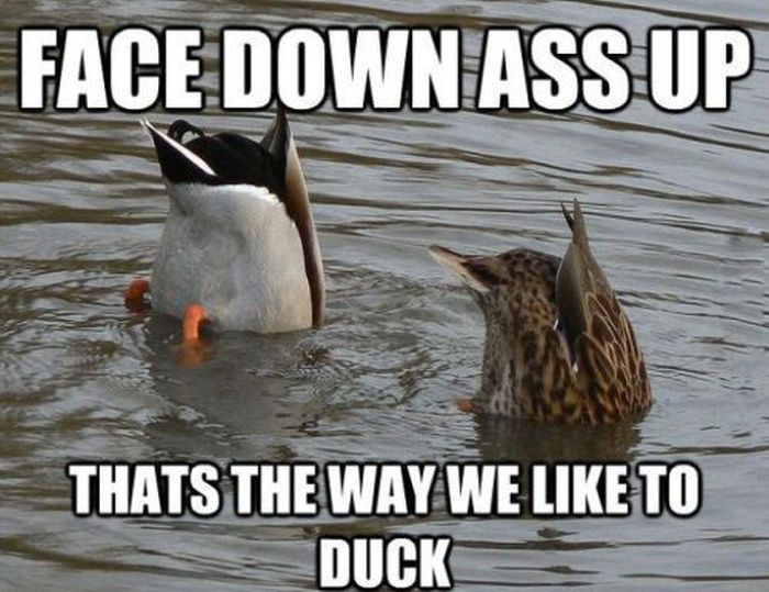 Dirty Humor. Part 6 (36 pics)
