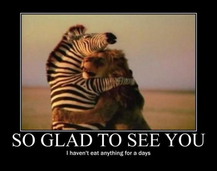Funny Demotivational Posters (32 pics)