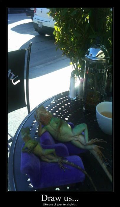 Funny Demotivational Posters (32 pics)