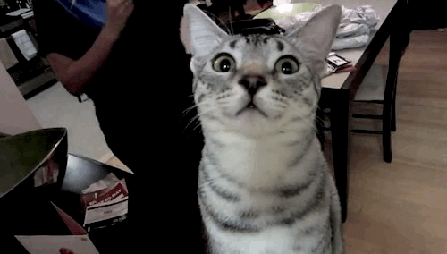 Acid Gifdump, May 14, 2013 (25 gifs)