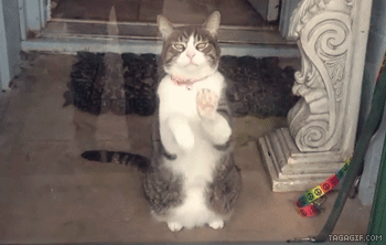 Acid Gifdump, May 14, 2013 (25 gifs)