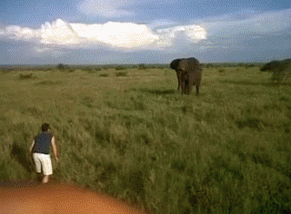 Acid Gifdump, May 14, 2013 (25 gifs)