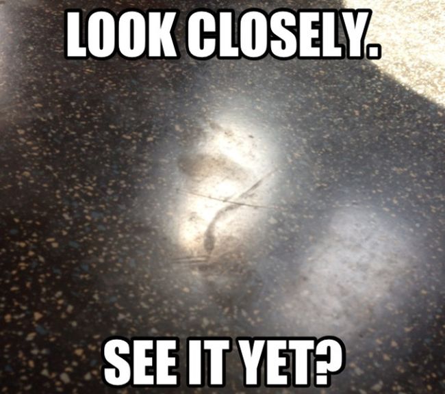 People Who Make Life in NYC Terrible (50 pics)