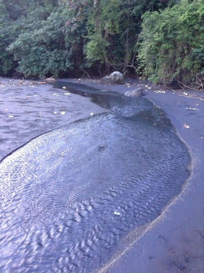 This River is Alive (11 pics)