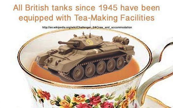 Surprising Historical Facts (33 pics)