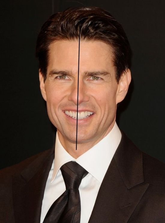 Fact of the Day (8 pics)