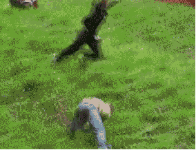 Faceplants (26 gifs)