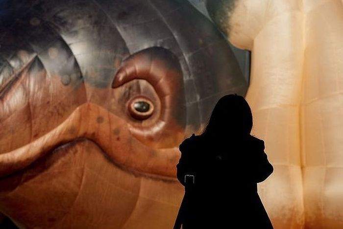 Meet the Skywhale (15 pics)