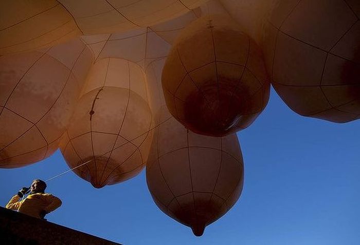 Meet the Skywhale (15 pics)