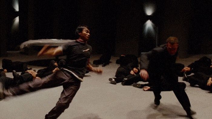 Amazing Martial Arts GIFs (25 gifs)