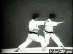 Amazing Martial Arts GIFs (25 gifs)