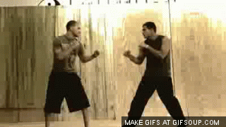 Amazing Martial Arts GIFs (25 gifs)