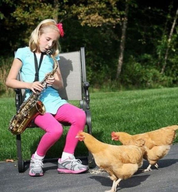 Awkward Things (51 pics)
