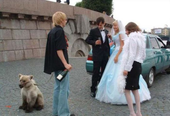 Awkward Things (51 pics)