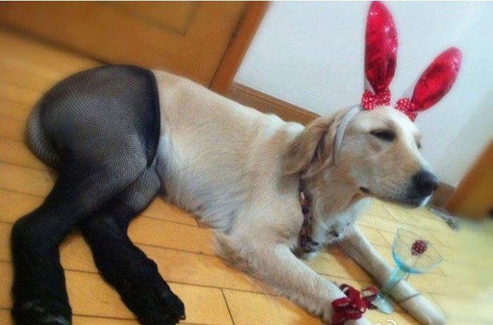 Awkward Things (51 pics)