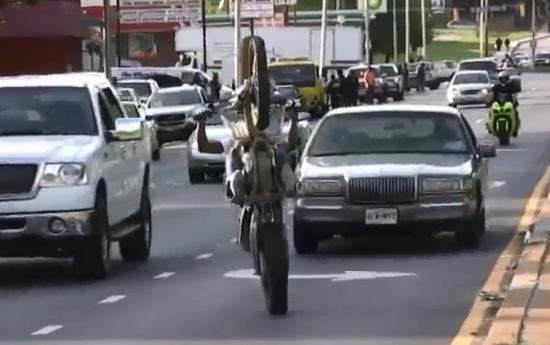 The Greatest Wheelie Ever