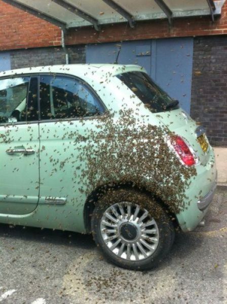 Oh Sh*t. Part 5 (40 pics)