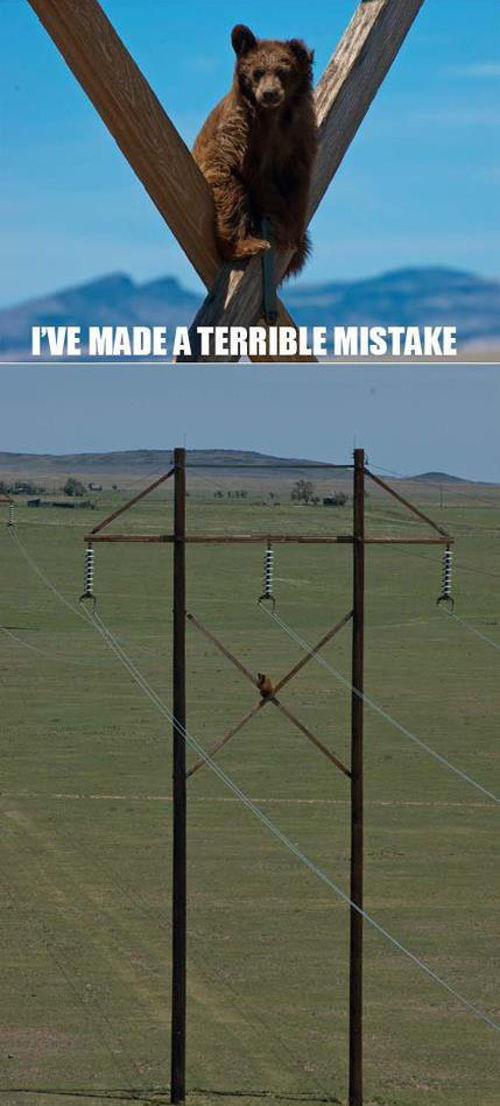 Oh Sh*t. Part 5 (40 pics)